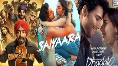 Saiyaraa's mediocre collection: How much is the box office collection of Son of Sardaar 2 and Dhadak 2?