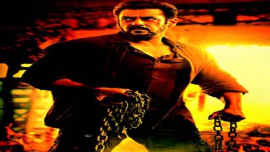 કવર સ્ટોરીઃ ‘ભાઈ’એ એક્શનને કહ્યું: આવજો!