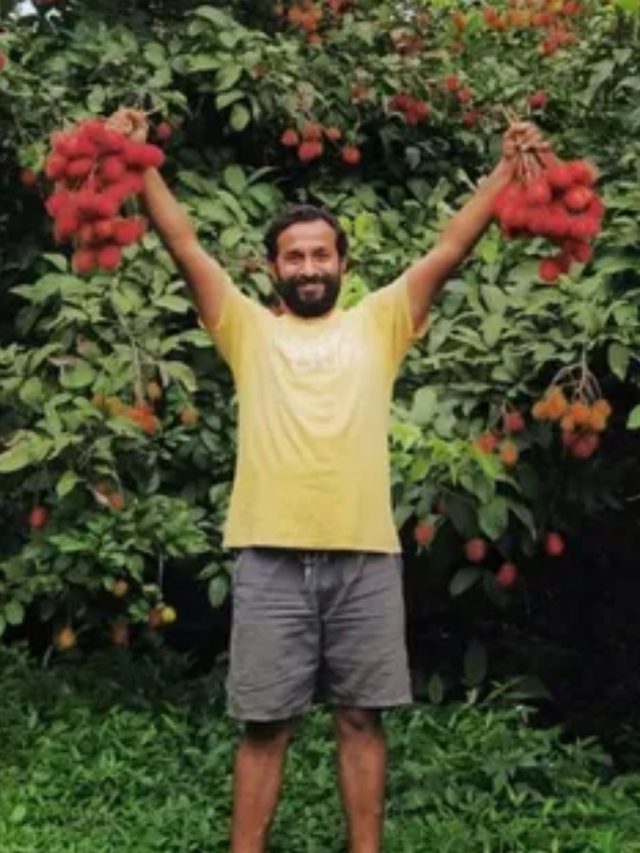 દેખાવમાં રિંગણા જેવું સ્વાદમાં લિચી, ઓળખો જોઈએ કયું છે આ ફ્રૂટ?