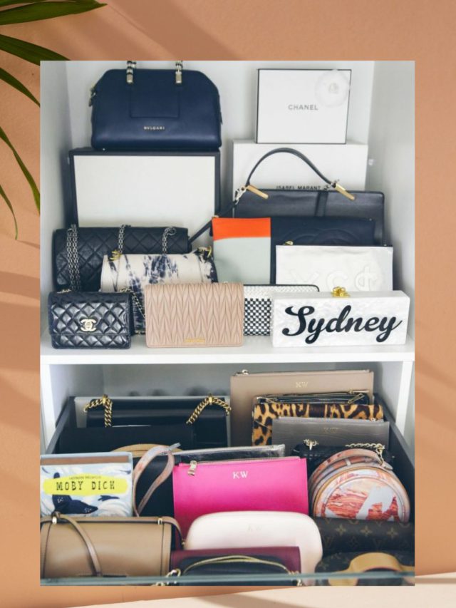 છ ક્લાસિક હેન્ડ બેગ્સ જે તમારા કલેકશનમાં હોવી જ જોઈએ…