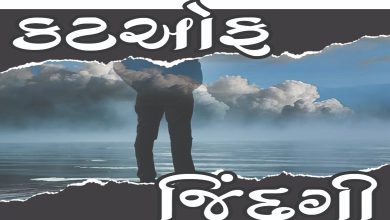 સન્ડે ધારાવાહિકઃ કટ ઑંફ જિંદગી - પ્રકરણ-5