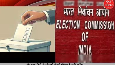 Election Commission announces date for Vice Presidential election, voting will be held on this date