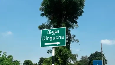 Gujaratis who entered America through 'Dunky Route' return: Sudden population increase in villages of North Gujarat