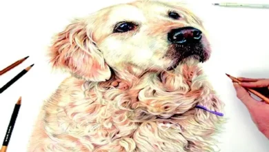 Mood Fun: The Dialect of Dumb Relationships: From Affection to Loyalty...