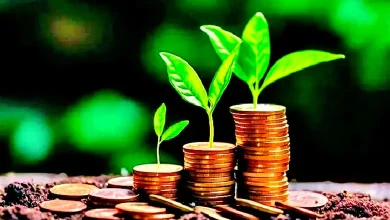 Eco-Special: Why is mutual fund investment inflows high even in uncertain circumstances?