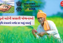 ખેડૂત ખેતીકામ કરી રહ્યા છે