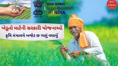 ખેડૂત ખેતીકામ કરી રહ્યા છે