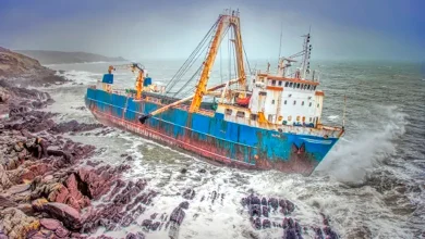 Rice rice or log: A ghost ship without a ghost... Terrifies the people of Belikotan...!