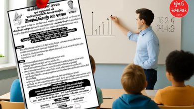 સરકારી શિક્ષકોની હાલત દાડિયા મજૂરોથી પણ ખરાબ! દિવસના માત્ર 300 રૂપિયામાં ભરતી