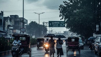 ગુજરાત માટે હજી 5 દિવસ ભારે! આજે 8 જિલ્લામાં ભારે વરસાદને પગલે ઓરેન્જ એલર્ટ