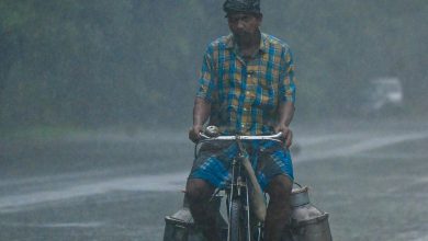 Heavy rains forecast in Gujarat