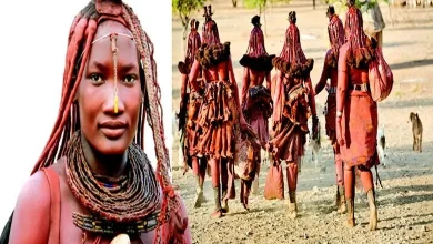 Hey... Really?! Where is the bath forbidden?!