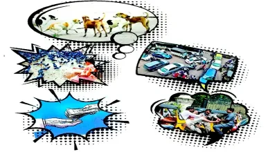 Cover Story: My India is great, full of vanity...!