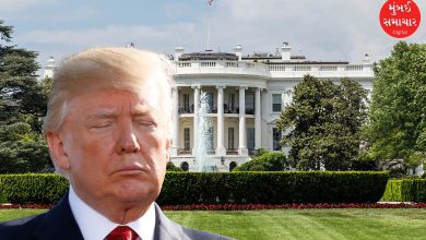 White House expresses displeasure over Donald Trump not being awarded Nobel Peace Prize