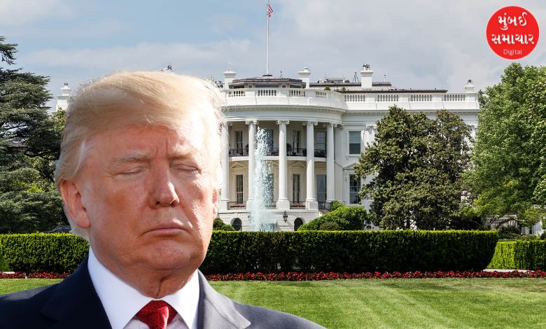 Trump, who is shaking the world, is a guest for six to eight months? Know what the White House said