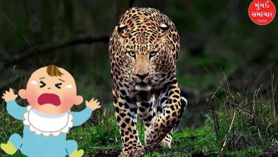 Five-year-old child dies in leopard attack in Gondia