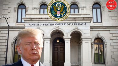 Legal challenge to Trump's tariff policy: Appeals court rules most tariffs illegal