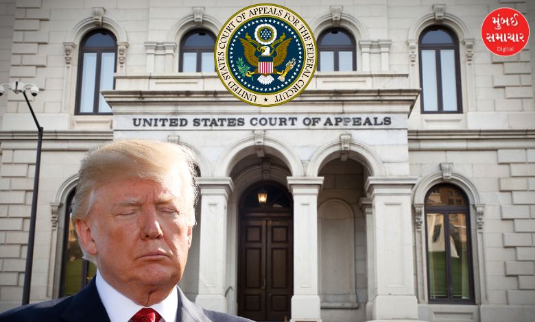 Legal challenge to Trump's tariff policy: Appeals court rules most tariffs illegal