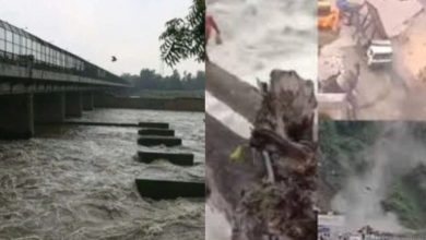 Himachal Heavy rains wreak havoc 184 people have died so far