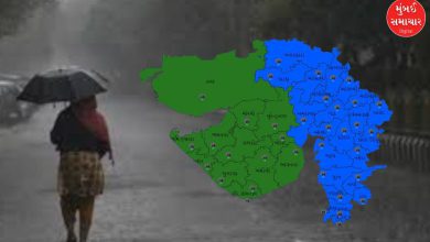 Rain with thunder may fall in this district, know the forecast of the Meteorological Department