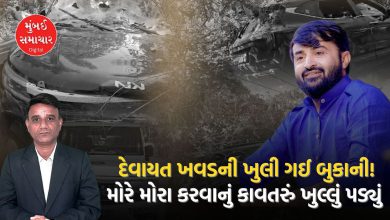 What was the big revelation regarding the Devayat Khavad controversy in Gir Somnath?