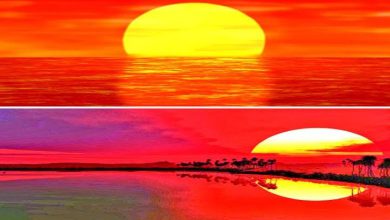 And the season is laughing... : End: Beginning: The end is the new beginning...