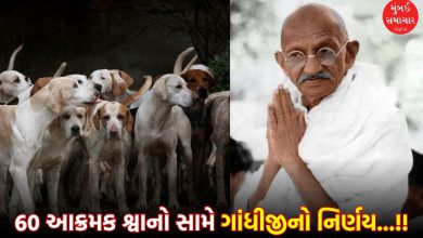 Why did Mahatma Gandhi, the priest of non-violence and compassion, allow 60 dogs to be killed?