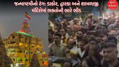Gujarat Janmashtami celebrations begin in Krishna temples devotees throng