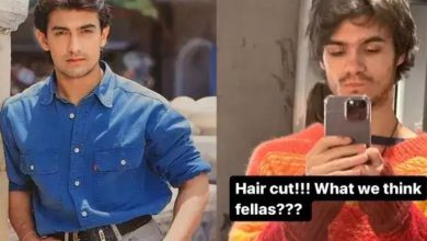 What does Jessica Hines and Aamir Khan's rumored love child look like?