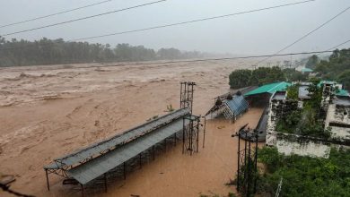 Heavy rains wreak havoc in Jammu and Kashmir