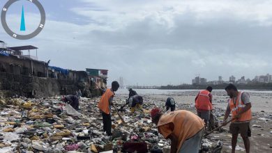 952 Tons of Garbage Removed from Mumbai Beaches