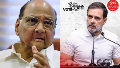 Vote-rigging allegations: Sharad Pawar's big advice to Rahul Gandhi