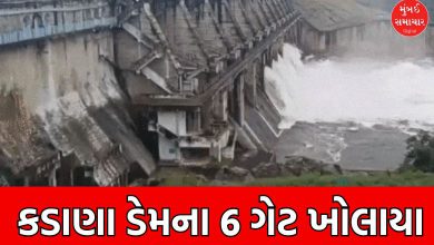 mahisagar kadana dam gate open safety alert