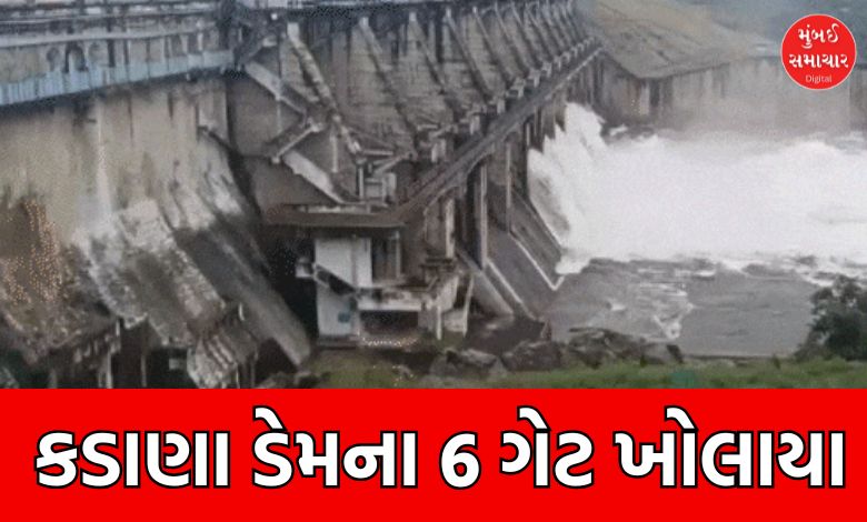 mahisagar kadana dam gate open safety alert