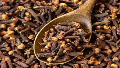 This small stick-like spice found in the kitchen will help you lose weight and will also provide relief from diabetes.