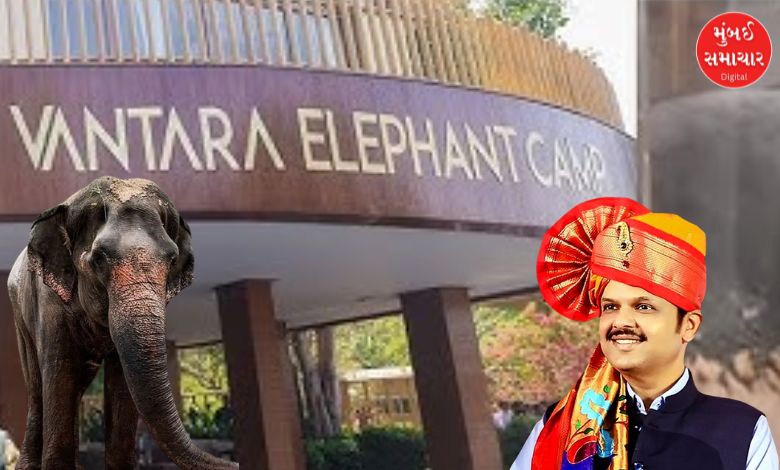 Vanatara to Back Maharashtra's Bid to Bring Back Elephant