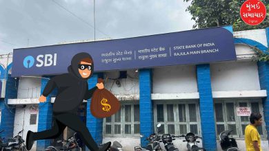 Amreli: SBI Bank in Rajula causes panic after theft of ₹1.50 lakh in broad daylight