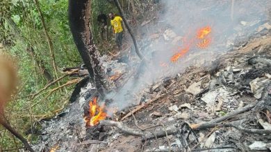 Ghana helicopter crash 8 people including environment minister