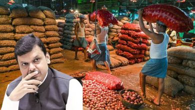 Onion Farmers Urge CM Fadnavis to Convene Emergency Meet