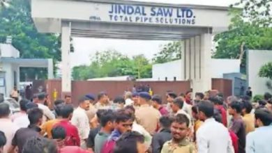 jindal saw ltd mundraaaaa