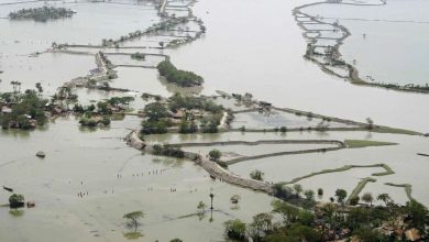 Heavy Rains Cause Flooding in Gujarat-Rajasthan Border