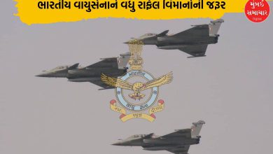 Indian Air Force demands more fighter jets from government