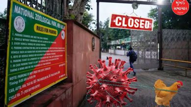 Delhi Bird flu zoo closed for visitors
