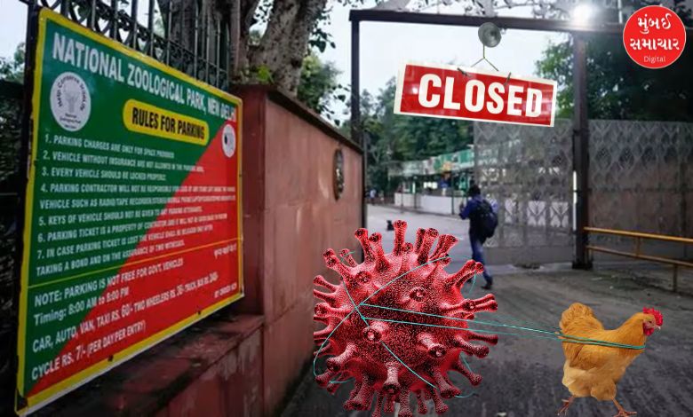 Delhi Bird flu zoo closed for visitors