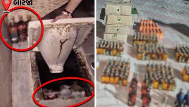 Gujarat Police Bust Liquor Racket, 792 Bottles Seized