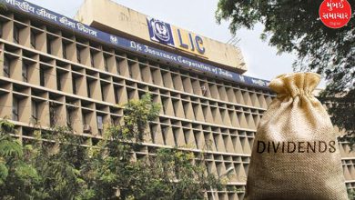 LIC gave crores of dividend to the government, announced in the annual general meeting