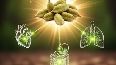 Consume two cardamoms daily for 15 days and ward off these diseases