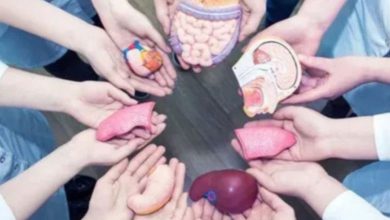One donor, many lives: How can a person's organs be donated? Know the special thing on World Organ Donation Day