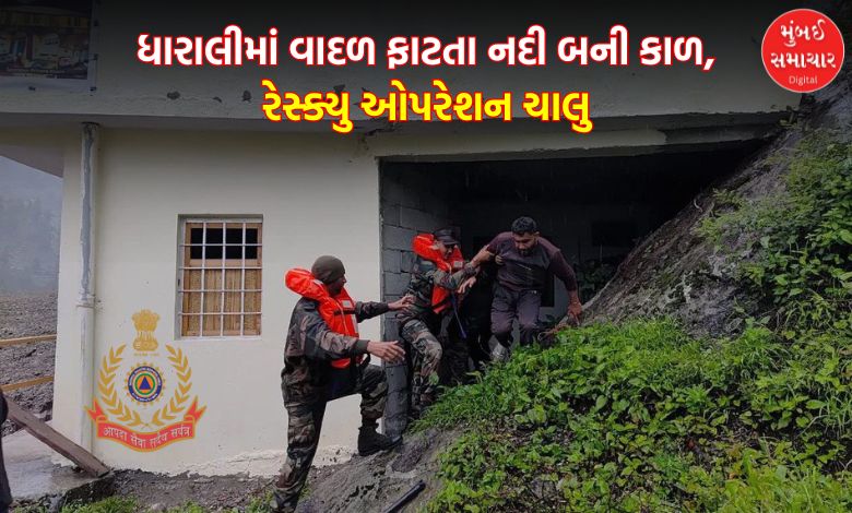 Uttarakhand Uttarkashi Rescue operation underway more than 130 people rescued