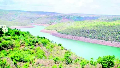 Focus Plus: Krishna River: The Ganges of the South...